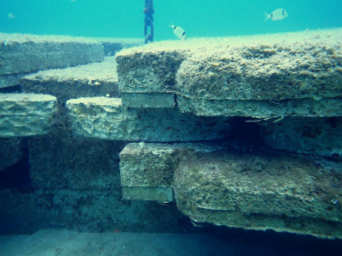 An eco-designed structure colonised by marine life